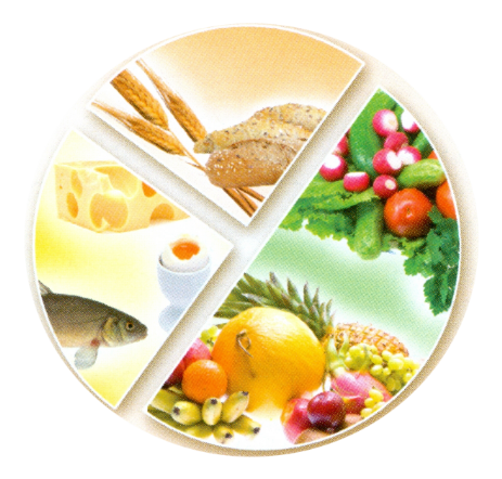 Zusammensetzung der Ernährung